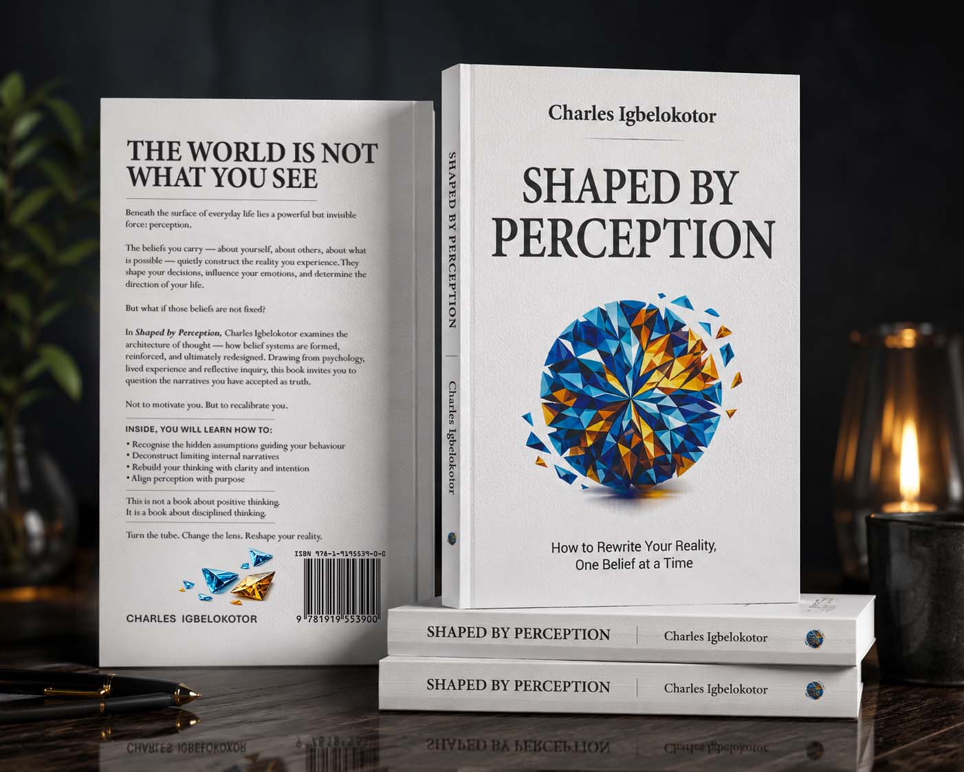 Shaped by Perception 2