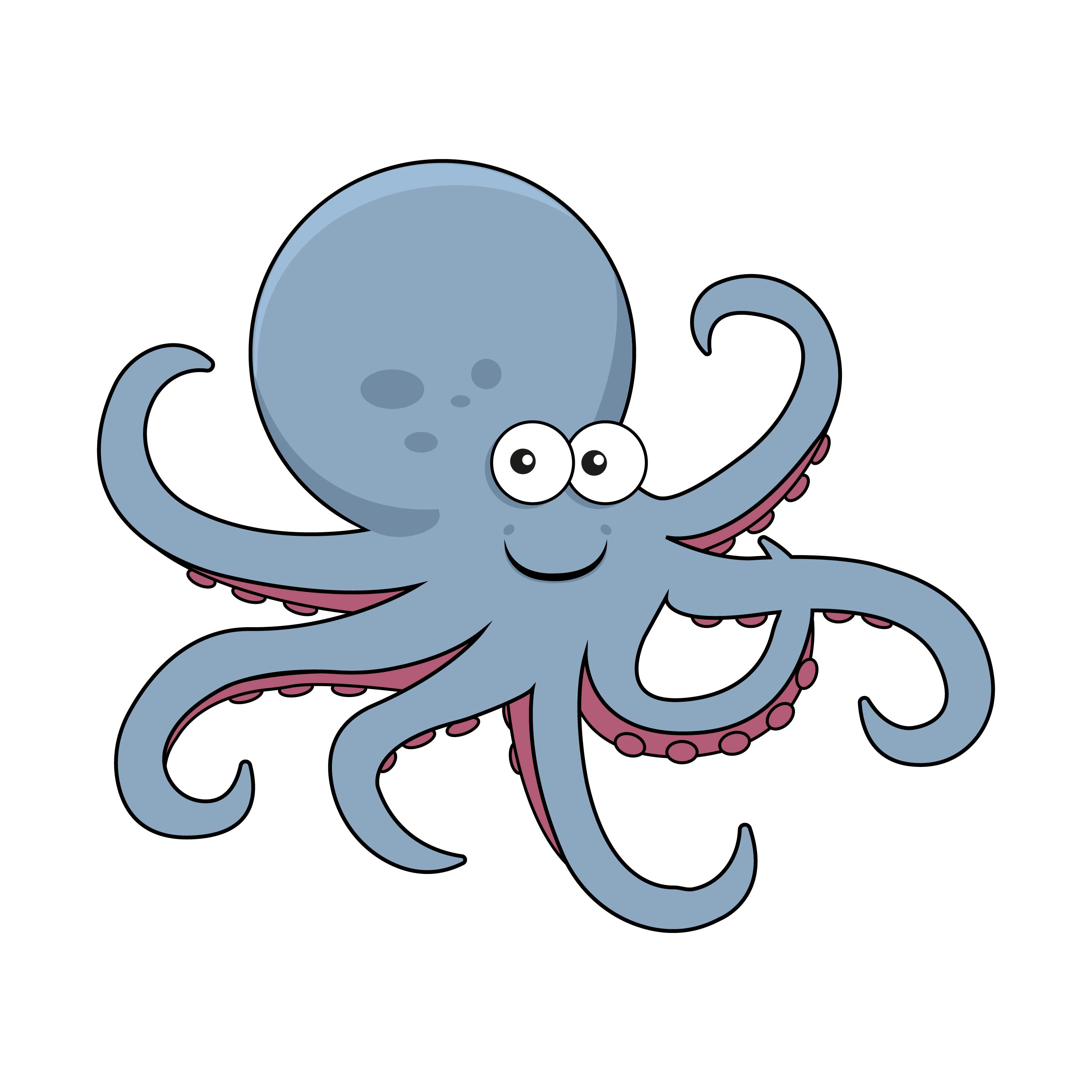 Octopus